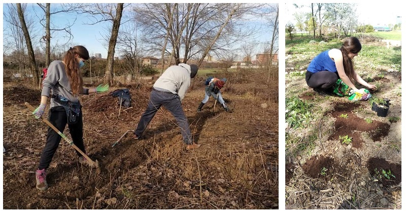 piantumazione alberi a milano | progetto climate change