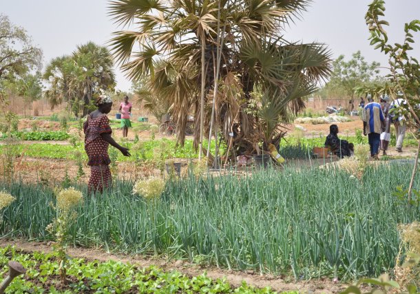 cintura verde di ouagadougou burkina faso