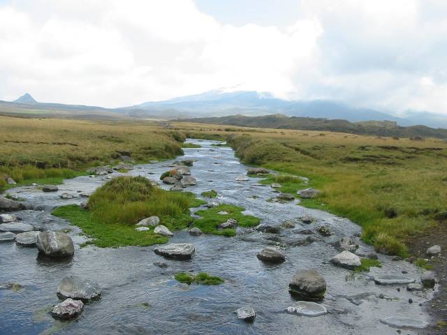 Acqua Ecuador paesaggio