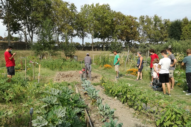 giovani e agricoltura urbana