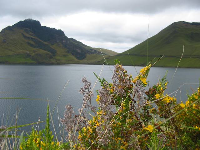 panorama paramo ecuador